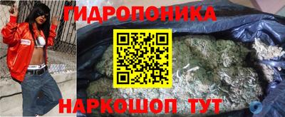 прущие крисы Кудымкар