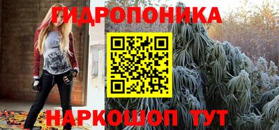 прущие крисы Кудымкар