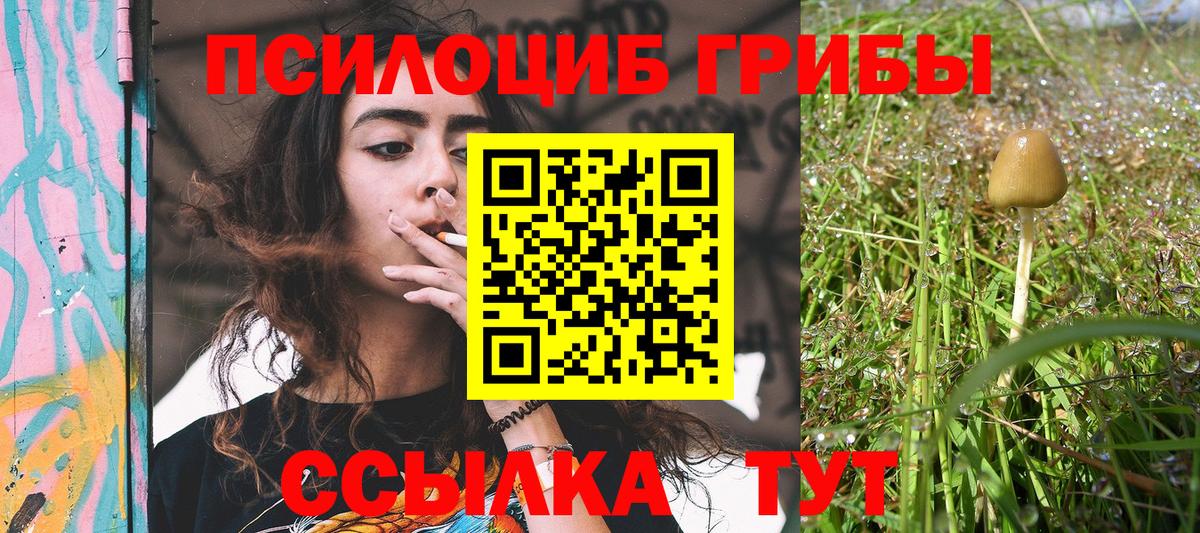 Галлюциногенные грибы прущие грибы Краснокаменск